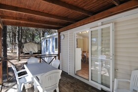 Spina Family Collection