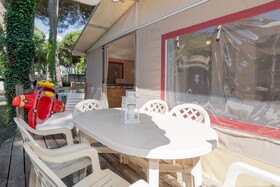 Spina Family Collection