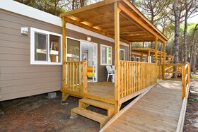 Spina Family Collection