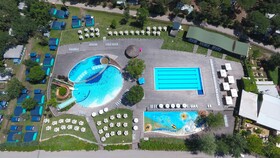 Spina Family Collection