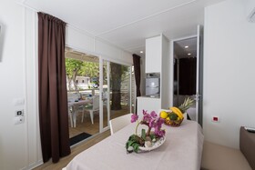 Spina Family Collection