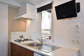 Spina Family Collection