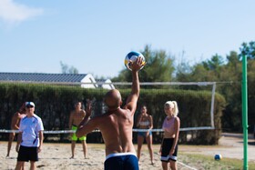 Spina Family Collection