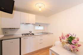 Spina Family Collection