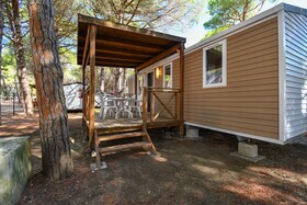 Spina Family Collection