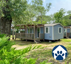 Spina Family Collection