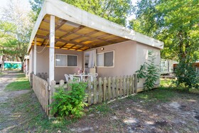 Spina Family Collection