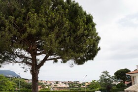 Balconi Del Conero