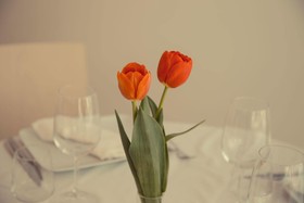 Hotel Restaurant Rinelli