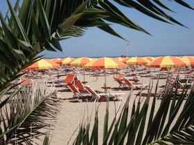 Hotel Camelia