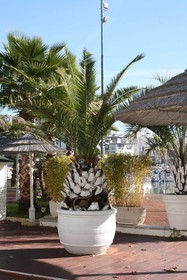 Portovere Holiday Village