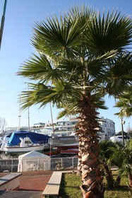 Portovere Holiday Village