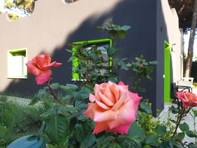 Villaggio Mithos