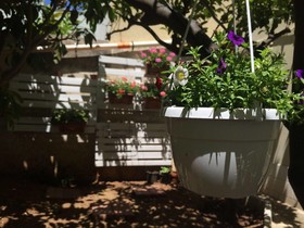B&B San Tommaso - Casa Relax