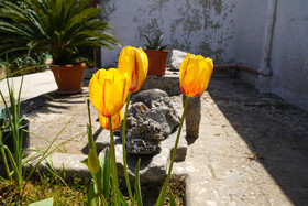 Masseria Guadiano Vecchio