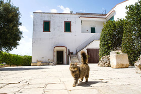 Masseria Guadiano Vecchio
