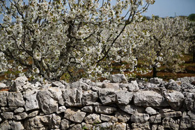 Masseria Guadiano Vecchio