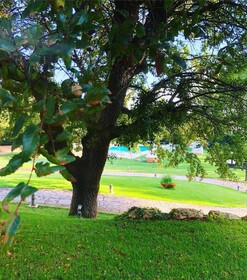 Tenuta Monacelle