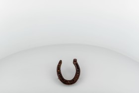 Tortorella