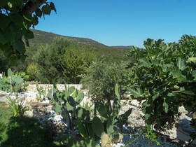 Trulli & Dimore