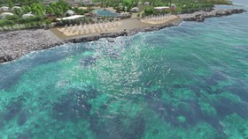 Torre Cintola Greenblue Sea Emotions