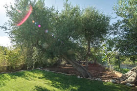 Villa Luxury Wanderlust