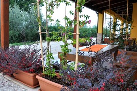 La Dolce Vallata