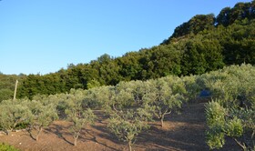 La Dolce Vallata