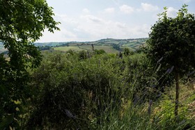 The House Of Fascia Villa