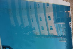 Sea Lion Hotel