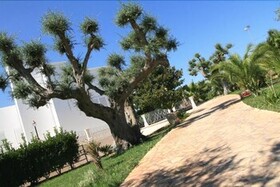 Apulia Hotel Città Bianca Country Resort