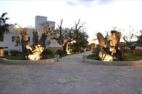Apulia Hotel Città Bianca Country Resort