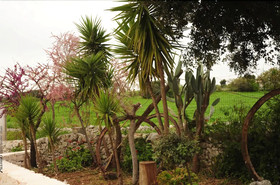 Casale Citrignano