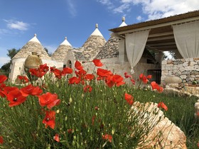 Feudi Mandolivo