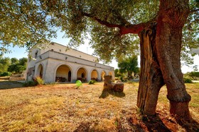 La Piana degli Ulivi B&B - Casa Vacanze