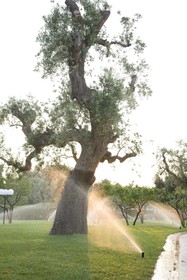 Masseria Asciano
