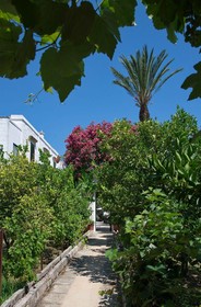 Masseria Il Frantoio
