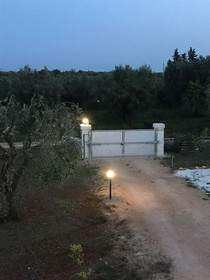 Pool-Villa Lavanda
