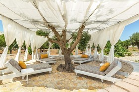 Trulli Ion