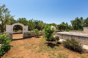 Trulli Ion