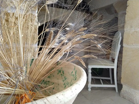 Vivere Ostuni
