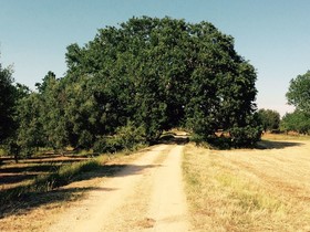 Le Corti di Begio