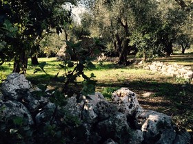 Le Corti di Begio