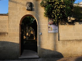 Mamma Rosa
