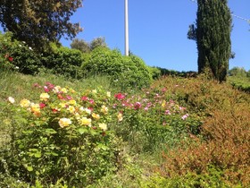B&B San Bartolo