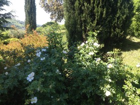 B&B San Bartolo