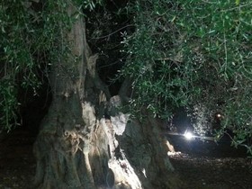 La Piana Di Calena