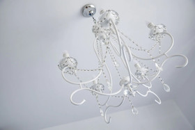 WePuglia - Albero di Giada