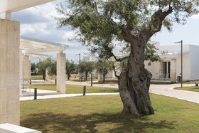 Cala Ponte, a Tribute Portfolio Hotel