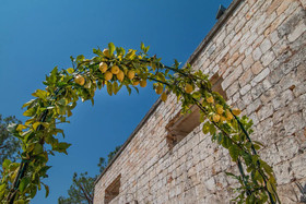 Casina Rossi